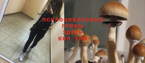 круглые Алзамай