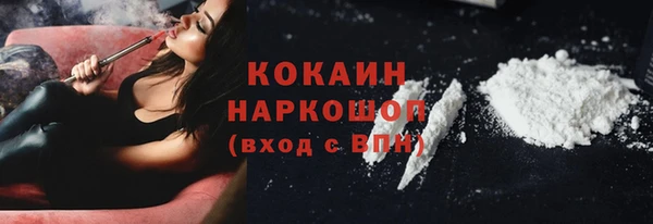 бошки Алексин
