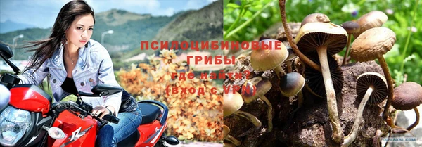 круглые Алзамай