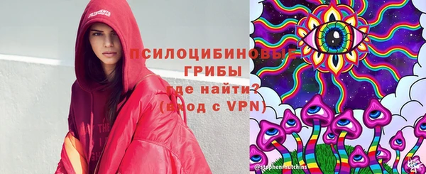 бошки Алексин