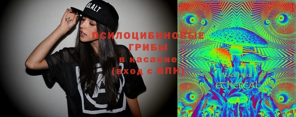круглые Алзамай