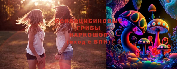бошки Алексин
