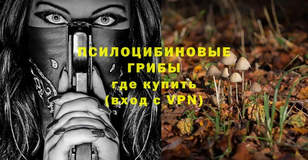 бошки Алексин
