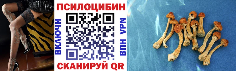 Галлюциногенные грибы Magic Shrooms Артёмовск